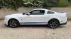 FORD MUSTANG 500 GT SHELBY BV6
