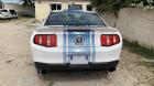 FORD MUSTANG 500 GT SHELBY BV6